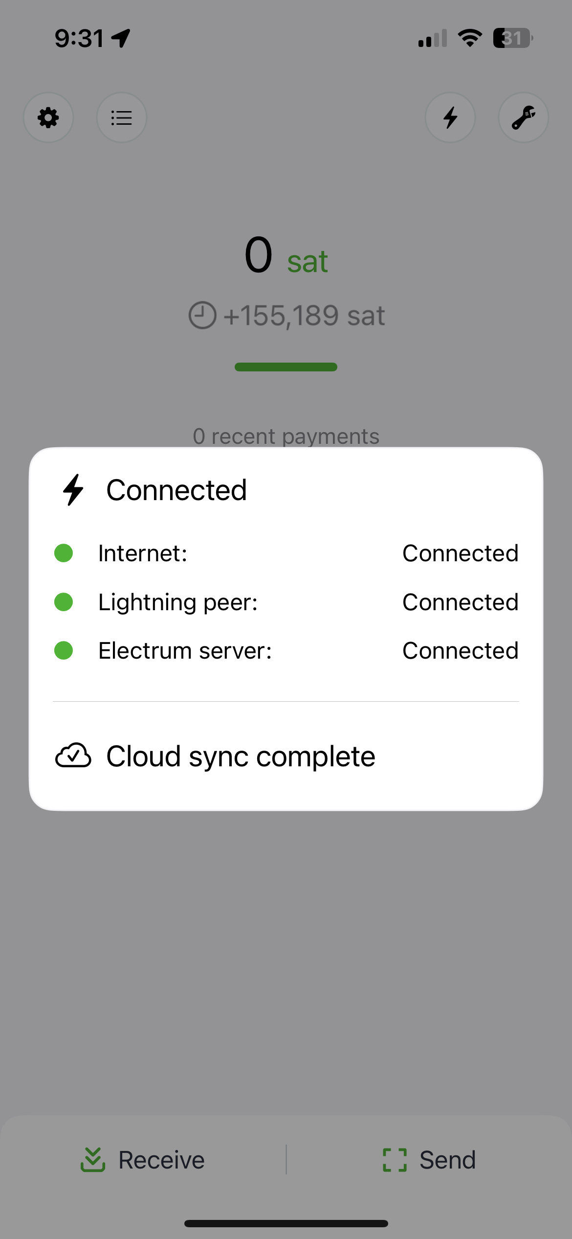 13 After tapping lightning icon on main wallet screen