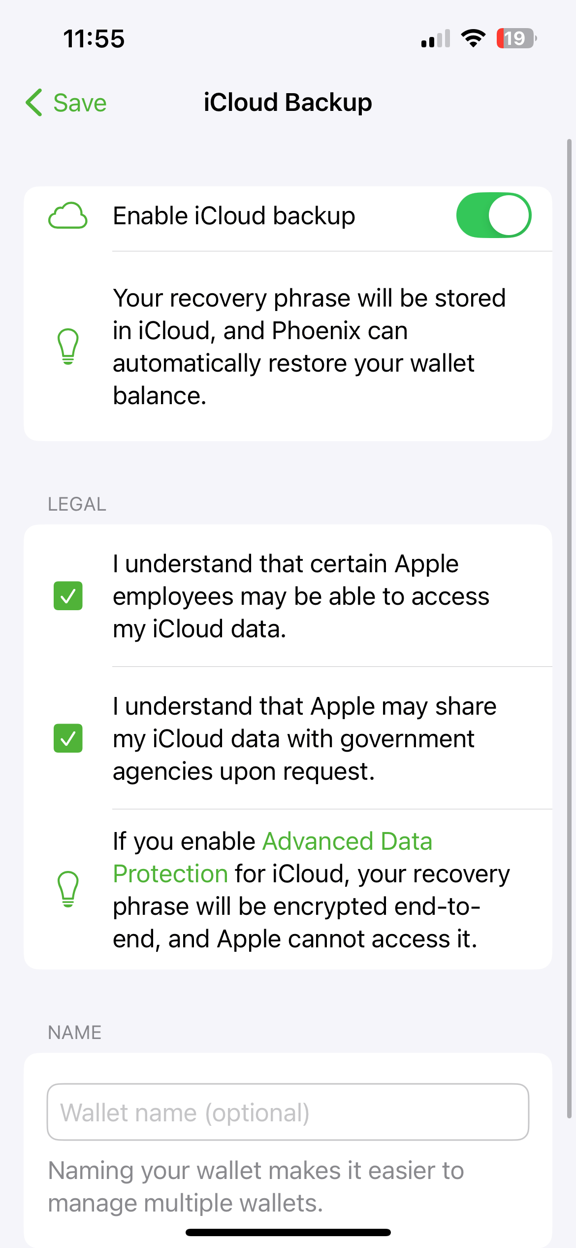 19 After flipping the iCloud backup switch